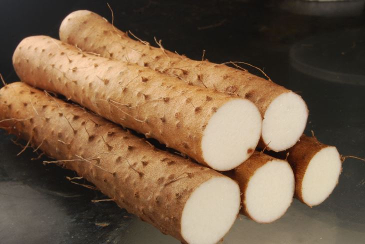 yam sliocht diosgenin