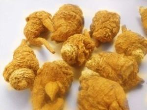 sliocht maca