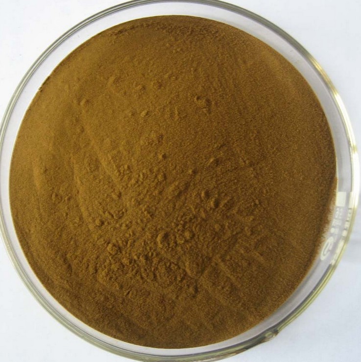 echinacea powder echinacea powder