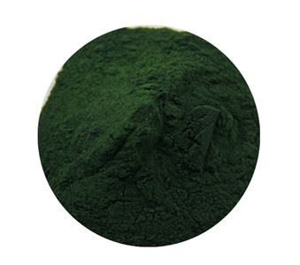 Espirulina jar polvo