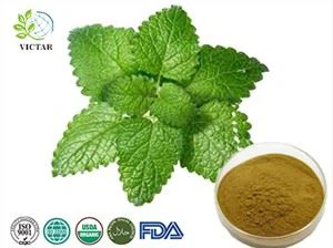 Sliocht Balm Lemon