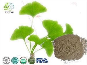 Púdar Ginkgo Biloba Orgánach