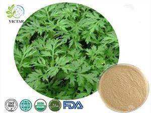 Sliocht Wormwood