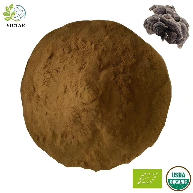 Sliocht Orgánach Coriouls Versicolor