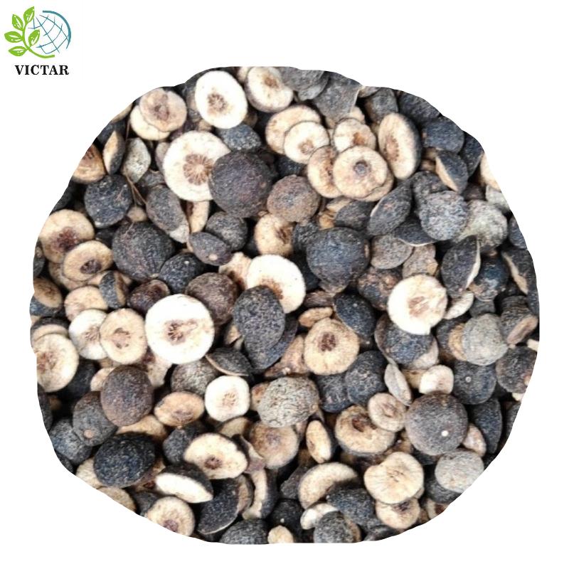 product-800-800