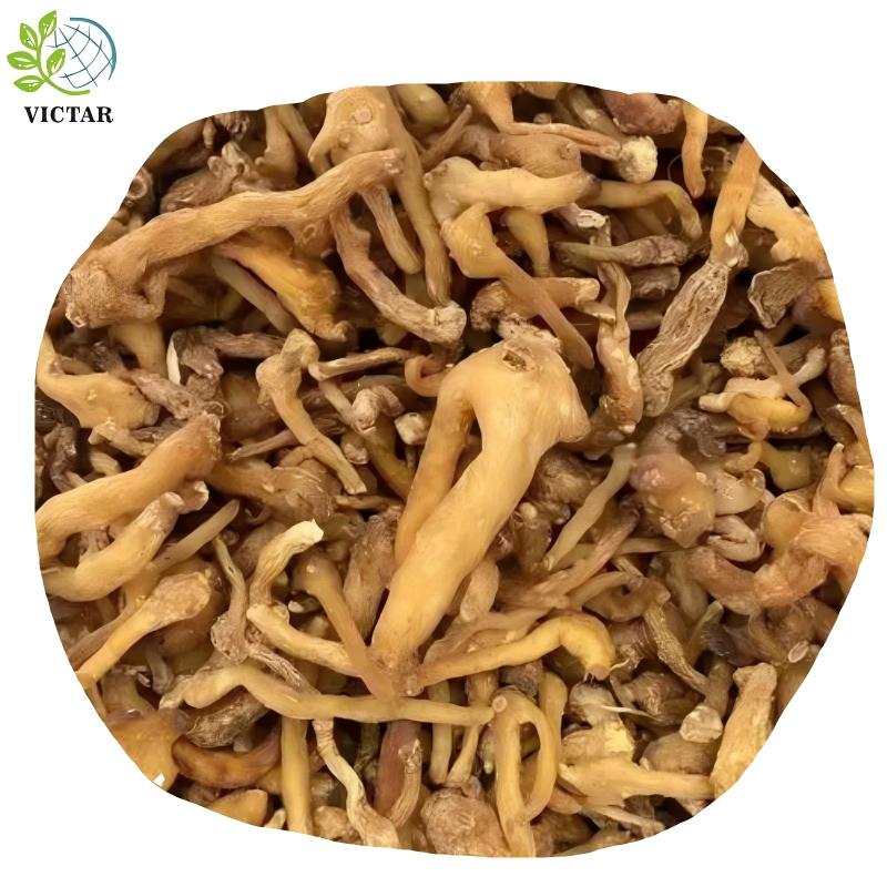 product-800-800