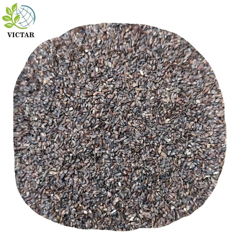 product-800-800